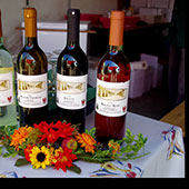 Weinbauverein Schlieben 